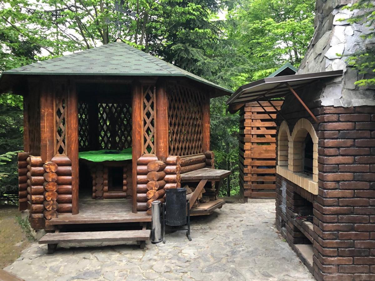 Комфортний Котедж В Мигово Extérieur photo