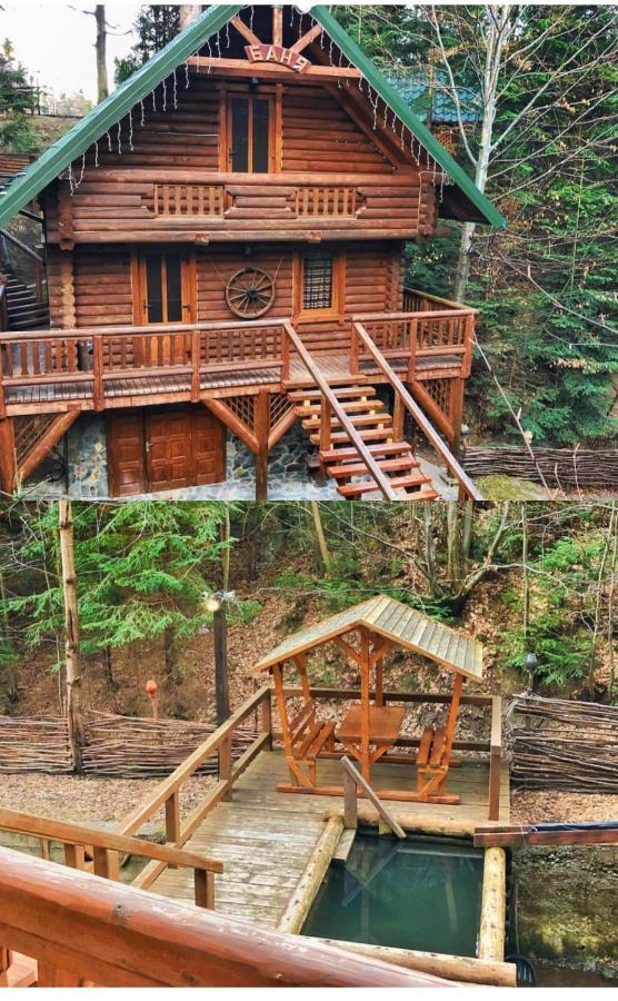 Комфортний Котедж В Мигово Extérieur photo